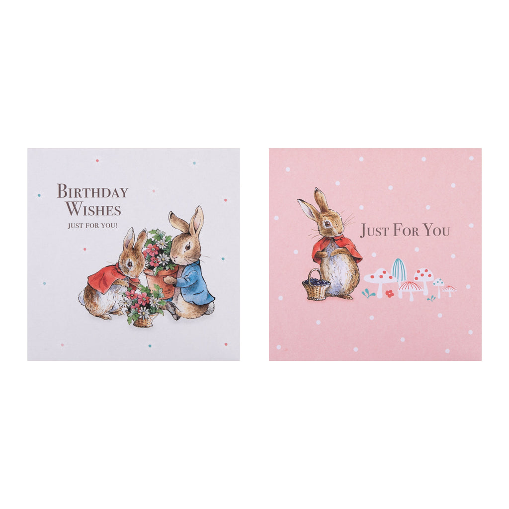 Birthday Cards Multipack - Pack of 10 in 5 Peter Rabbit™️ Designs