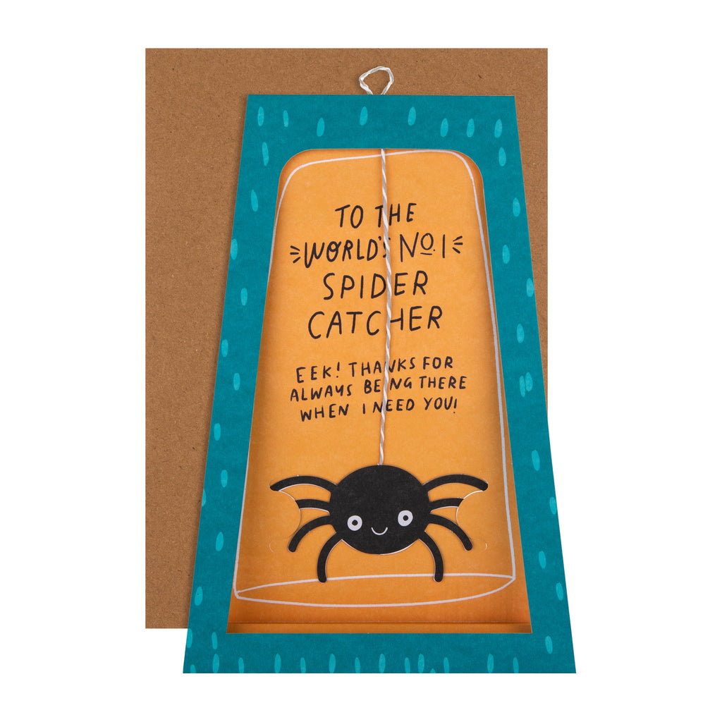 Father's Day Card - 3D & Pop-Up Spider Catcher Design