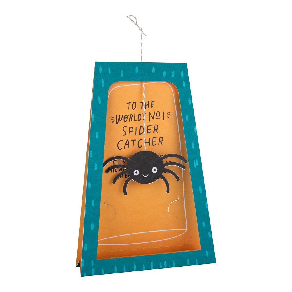 Father's Day Card - 3D & Pop-Up Spider Catcher Design