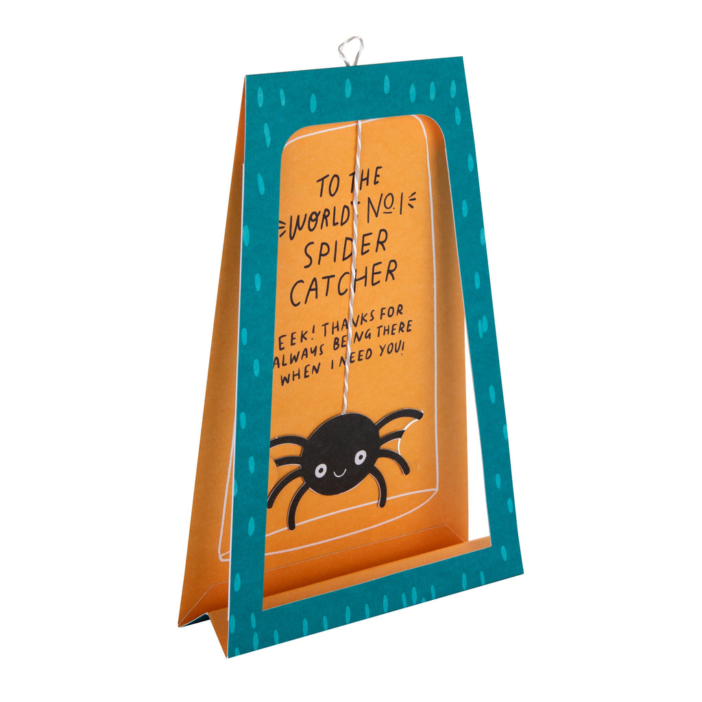 Father's Day Card - 3D & Pop-Up Spider Catcher Design