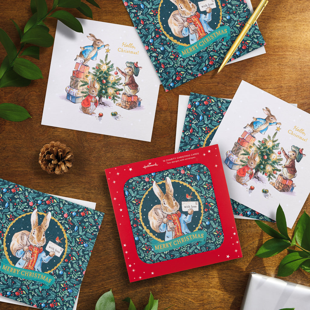 Charity Christmas Cards - Pack of 16 in 2 Peter Rabbit Designs