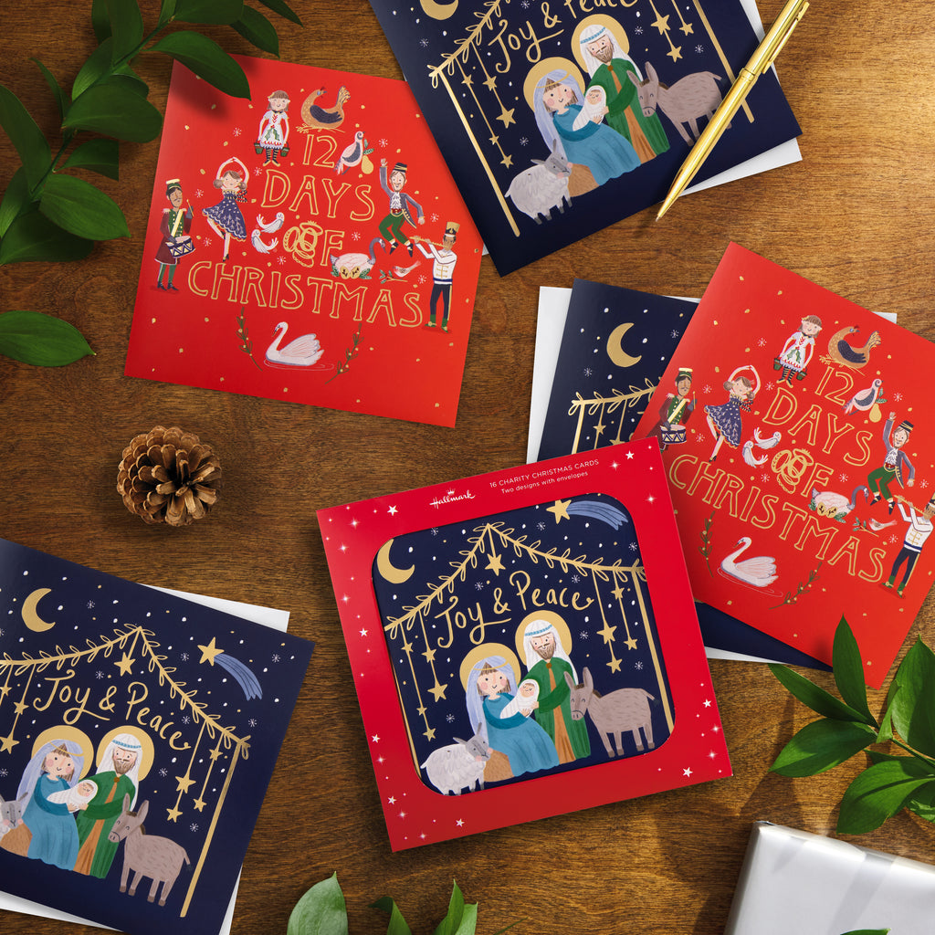 Charity Christmas Cards - Pack of 16 in 2 Nativity & Advent Designs