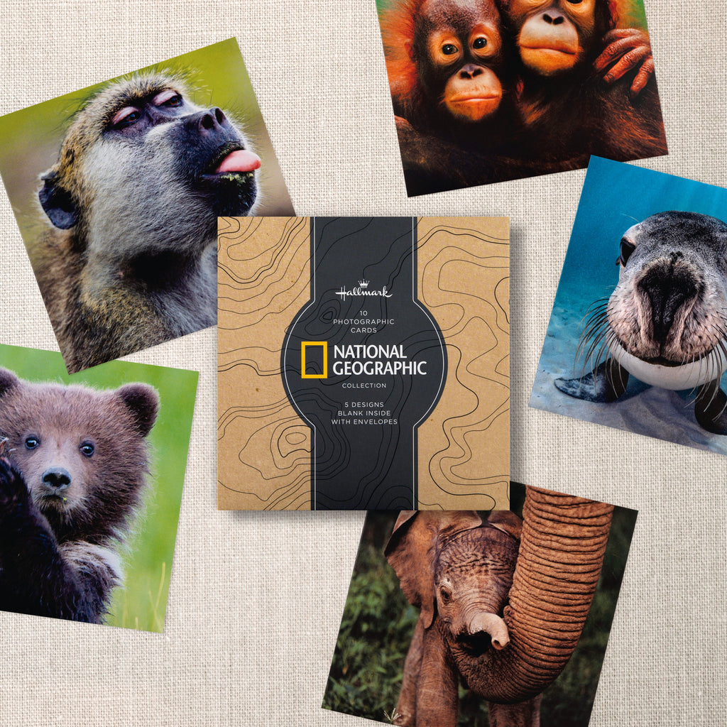 Greeting Cards Multipack - Pack of 10 in 5 National Geographic Animal Designs