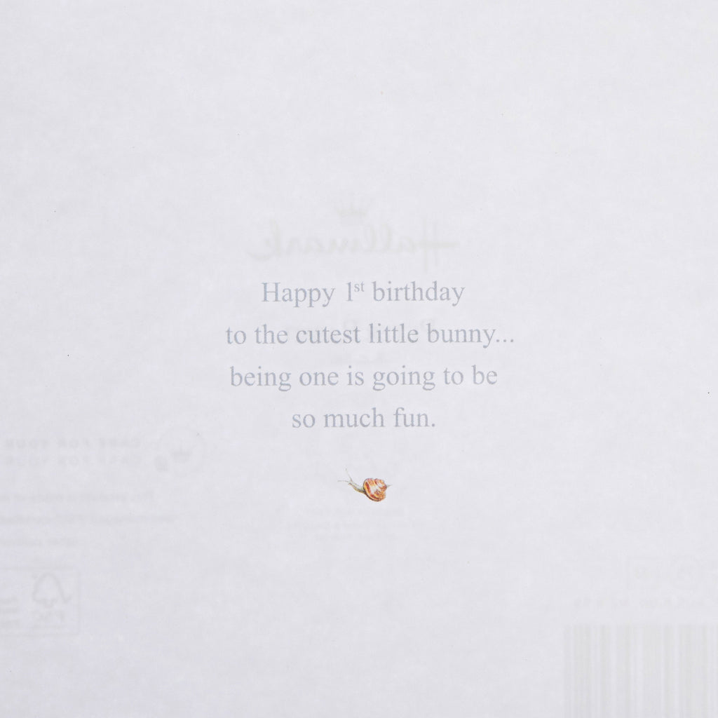 1st Birthday Card for Little Boy - Beatrix Potter's Peter Rabbit Design