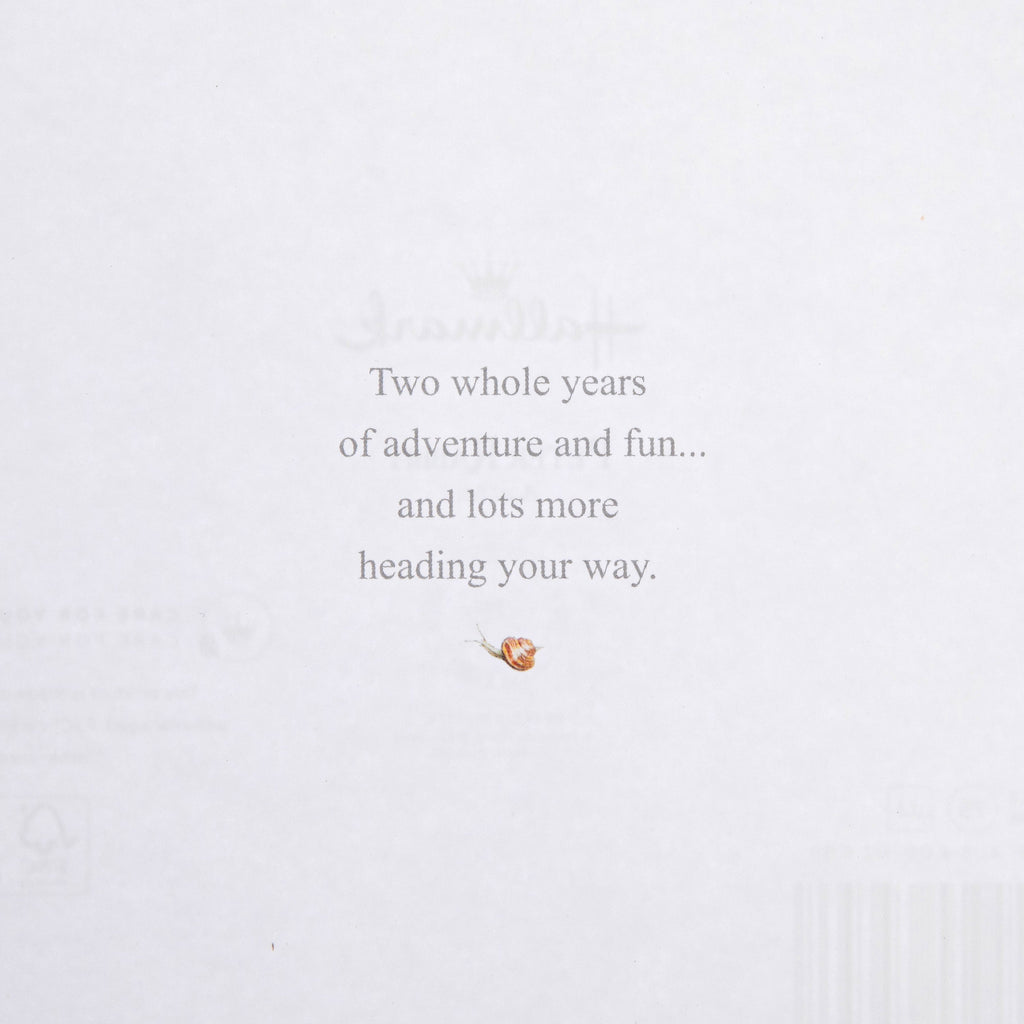 2nd Birthday Card for Little Boy - Beatrix Potter's Peter Rabbit Design