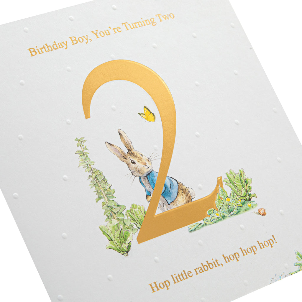 2nd Birthday Card for Little Boy - Beatrix Potter's Peter Rabbit Design