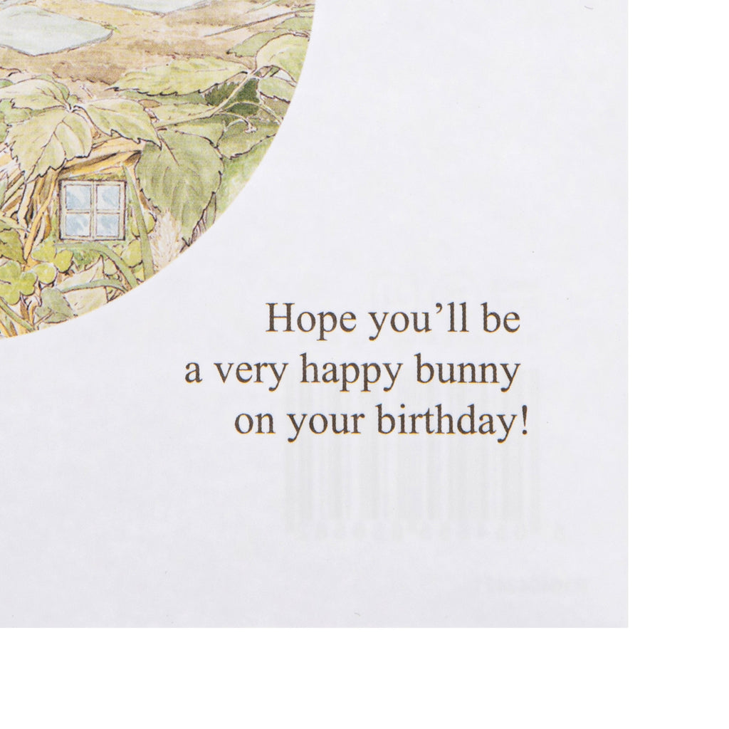 Kids Birthday Card - Beatrix Potter Peter Rabbit Design