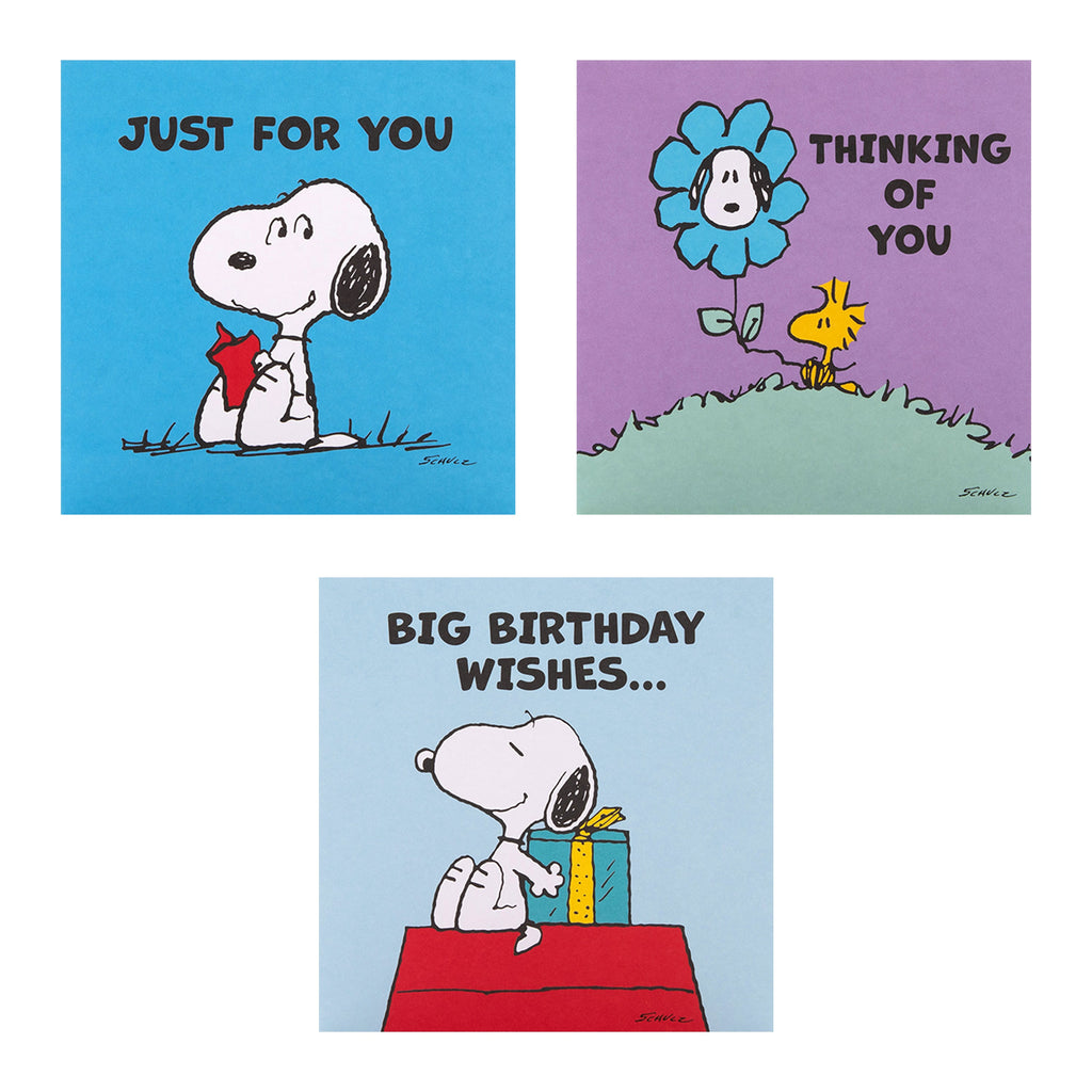 Greeting Cards Multipack - Pack of 10 in 5 PEANUTS™ SNOOPY Designs