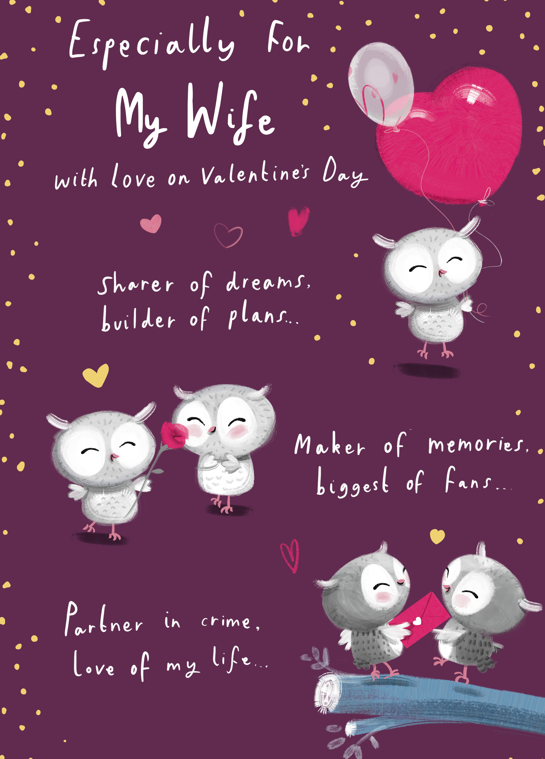 Personalised Cute Owls & Heart Valentine's Day Card for Wife – Hallmark