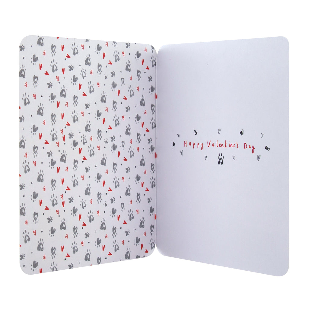 Valentine's Day Card from the Cat - Cute Illustrated Design with Red Foil