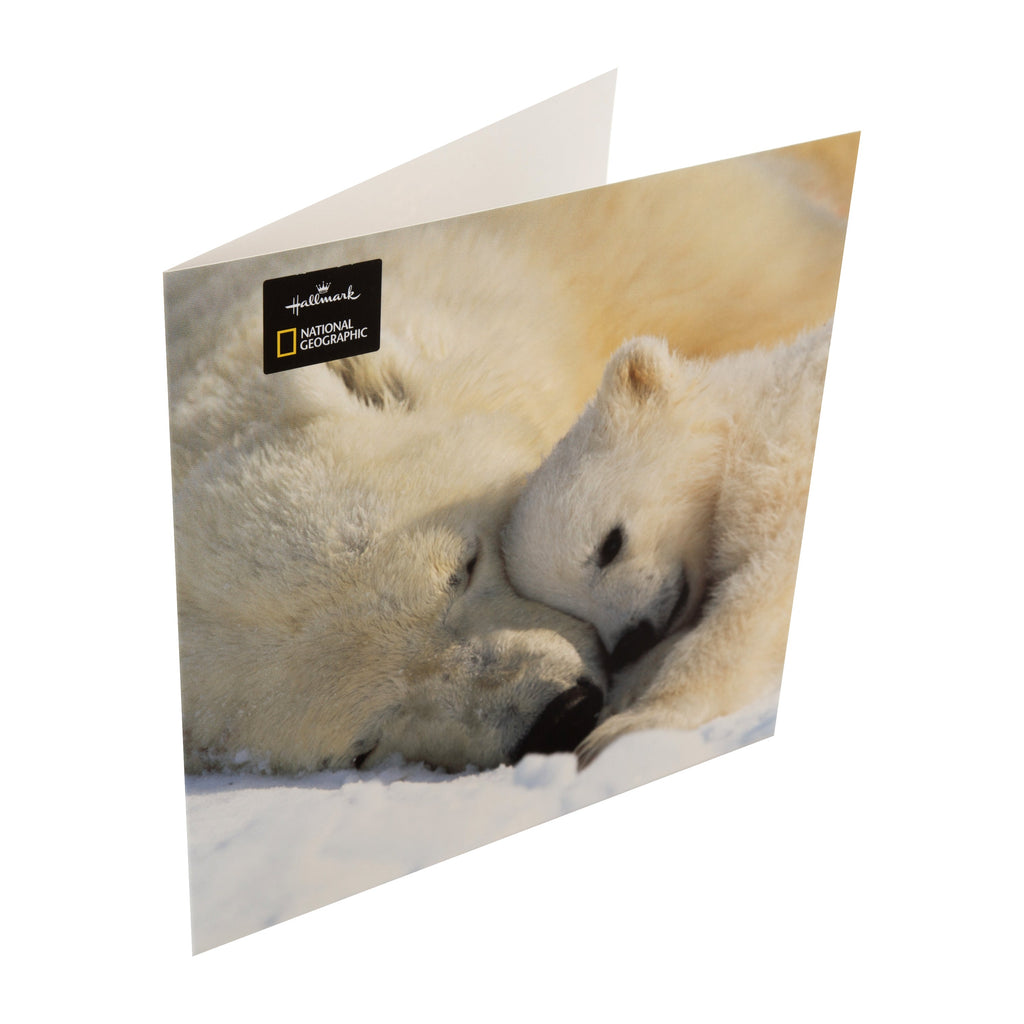 National Geographic Christmas Card - Cute Polar Bear Photography Design 